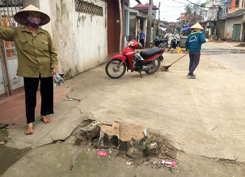 Hà[-]Nội:[-]Cả[-]trăm[-]cây[-]xanh[-]bị[-]chặt[-]hạ[-]sau[-]đợt[-]ra[-]quân[-]"đòi"[-]vỉa[-]hè